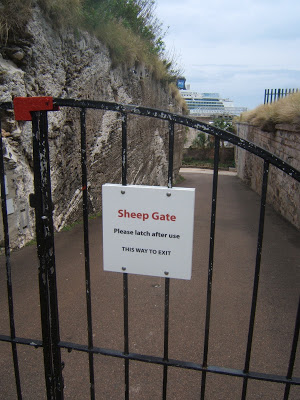 gate to keep the sheep in