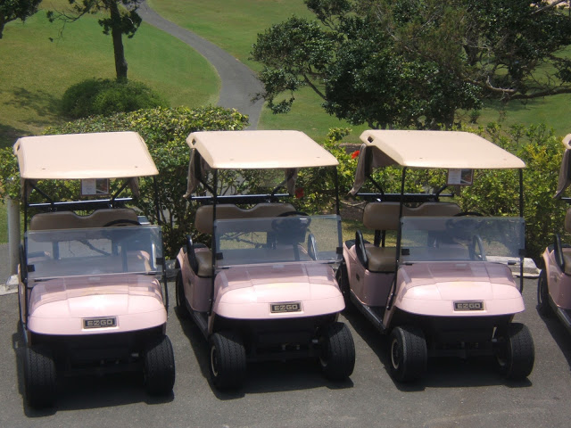 Pink gold carts in Bermuda
