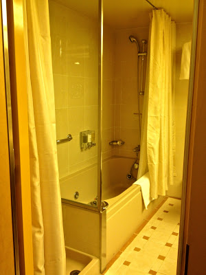 Seperate shower and bathtub with a shower in superior suite