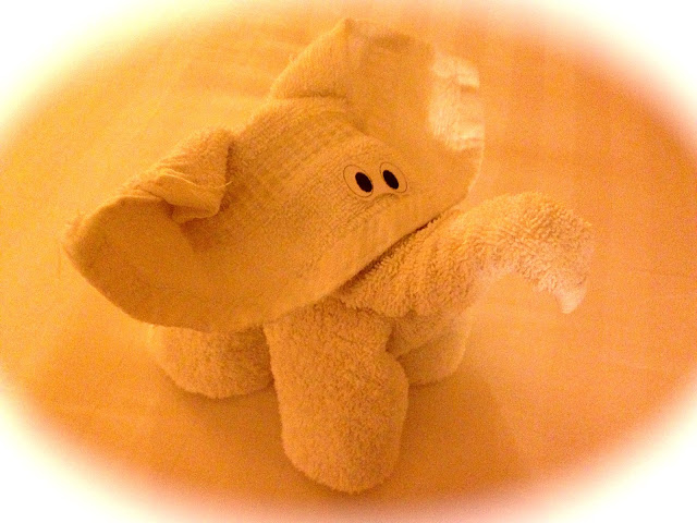 Elephant towel animal