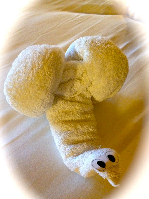 Snail Towel Animal