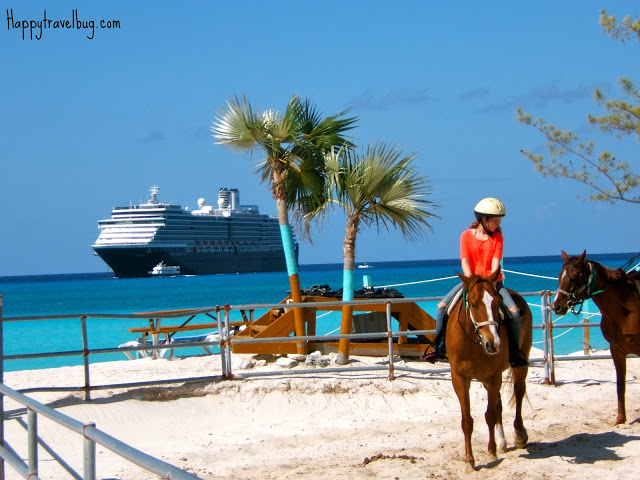 Riding horses with the cruise ship in the background