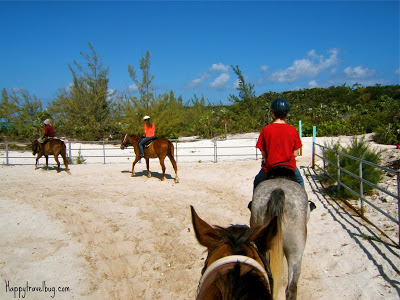 riding horses in the sand