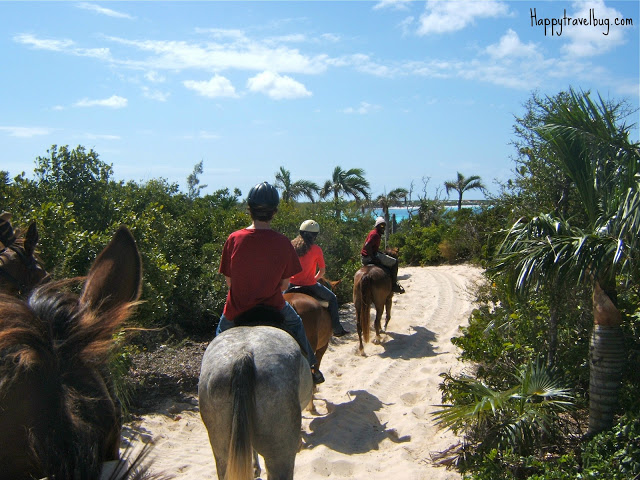 Riding horses around the island