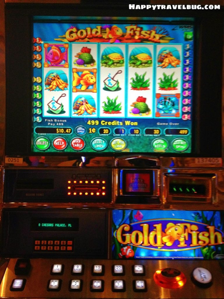 My favorite slot machine, the Goldfish