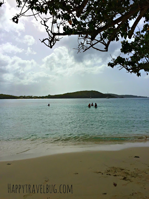 Beach in St. John, USVI