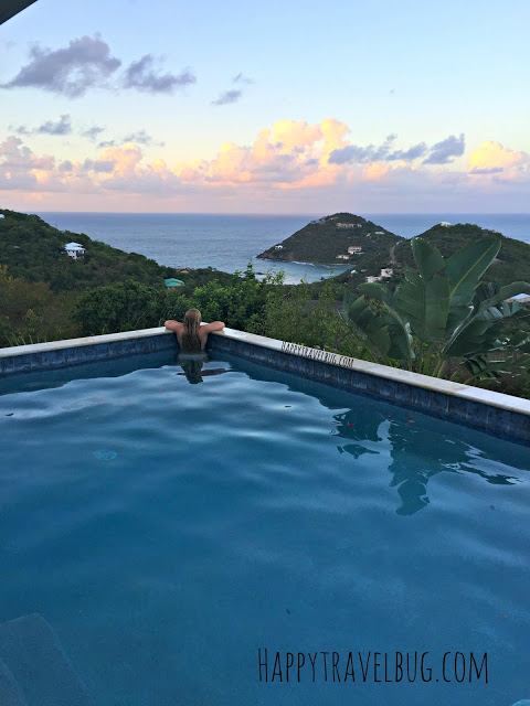 Blue Agave pool in St. John, USVI