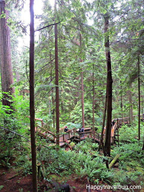 Capilano Suspension Bridge Park | Vancouver | Canada