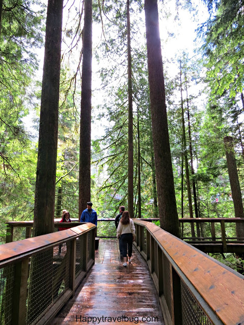 Capilano Suspension Bridge Park | Vancouver | Canada