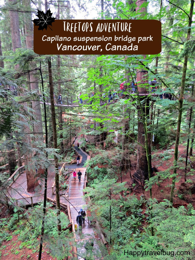 Treetops Adventure at Capilano Suspension Bridge Park in Vancouver, Canada