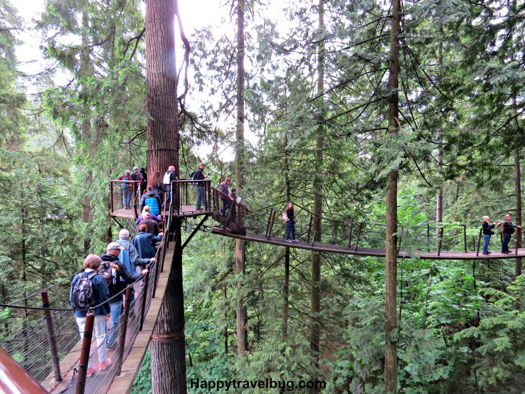 Treetops Adventure at Capilano Suspension Bridge Park in Vancouver, Canada