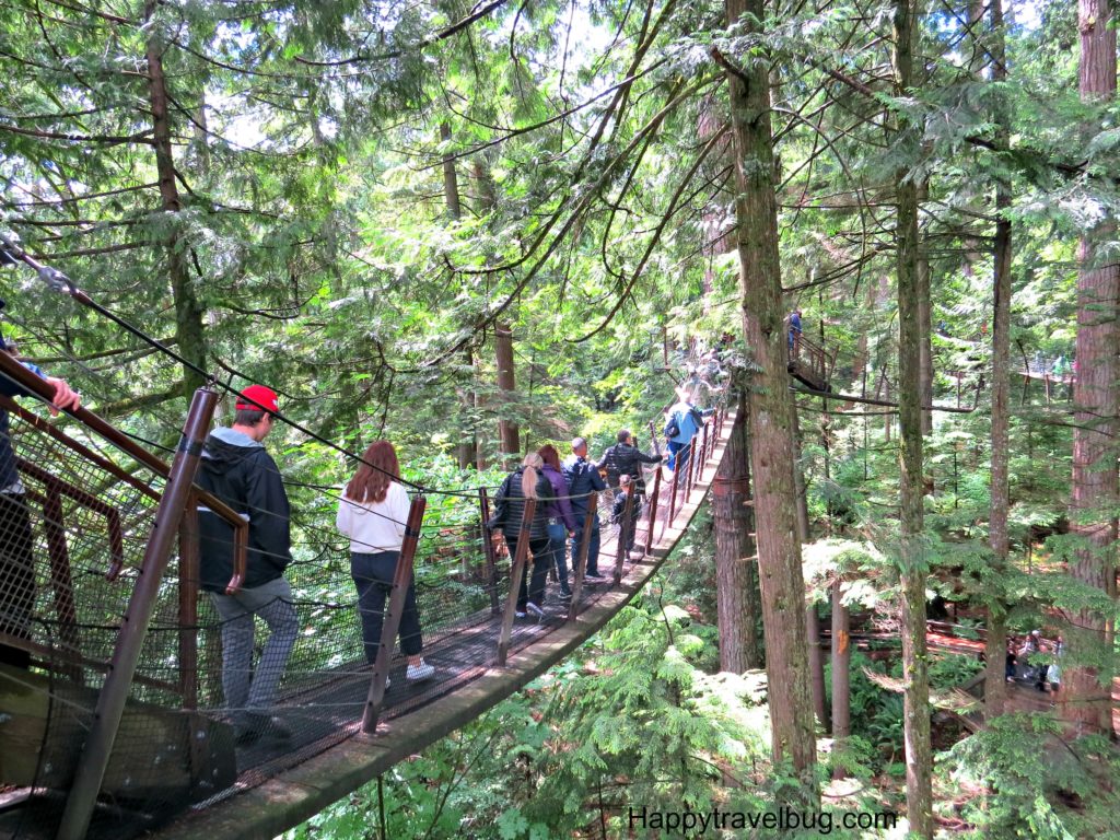 Treetops Adventure at Capilano Suspension Bridge Park in Vancouver, Canada