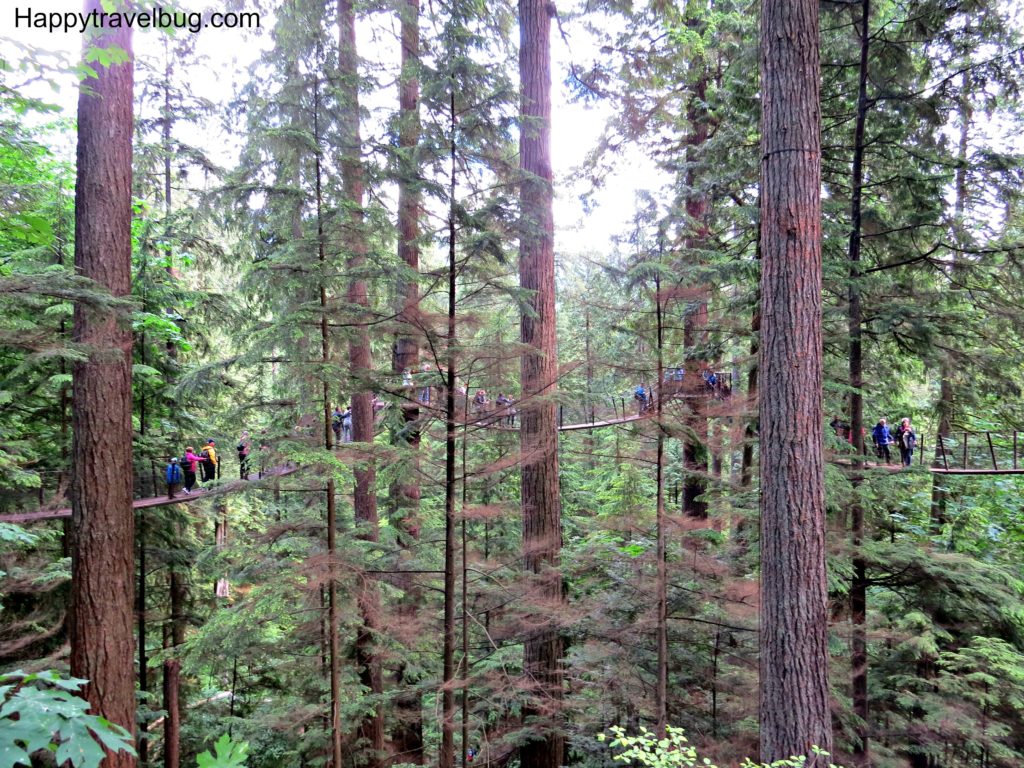 Treetops Adventure at Capilano Suspension Bridge Park in Vancouver, Canada