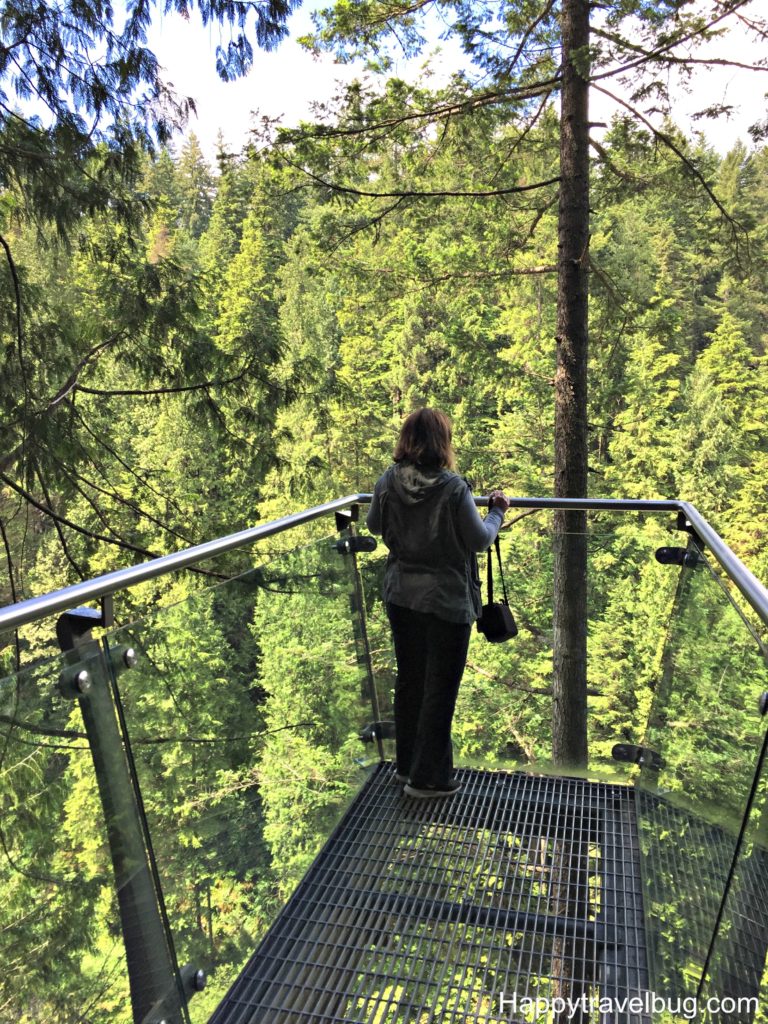 Cliffwalk at Capilano Suspension Bridge Park in Vancouver, Canada