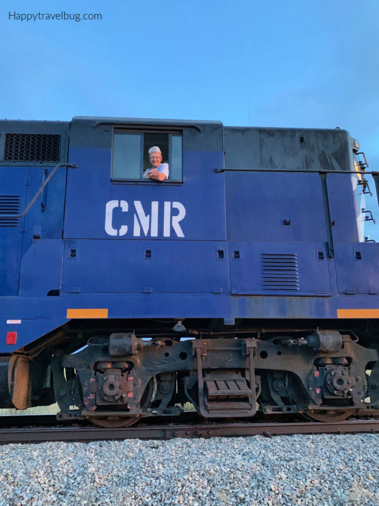 blue train engine with engineer in the window