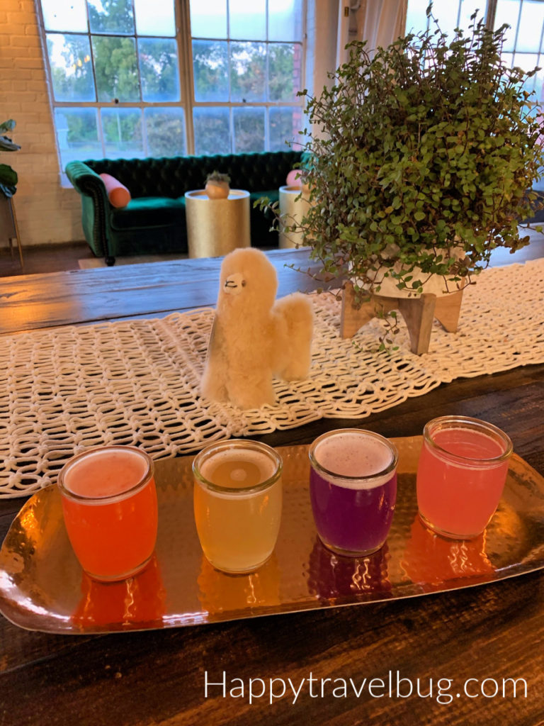 Kombucha samples