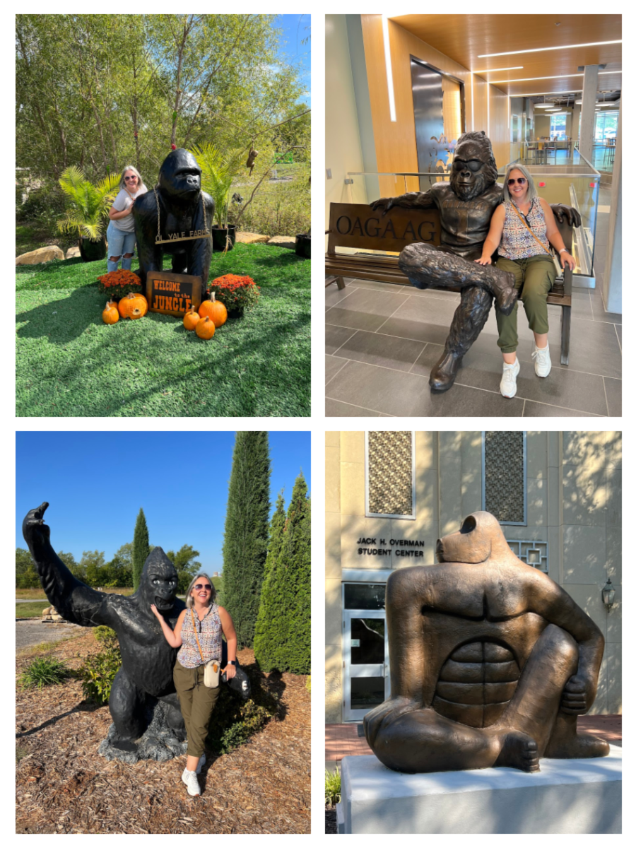 Woman with four different gorilla statues